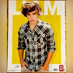 2012 Liam Payne 1D Poster 16”x 20”